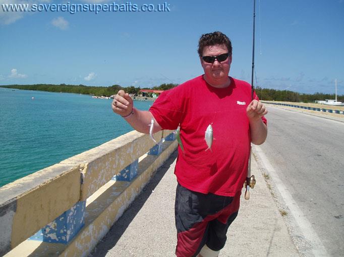 Sardines on sabiki rigs in Cuba