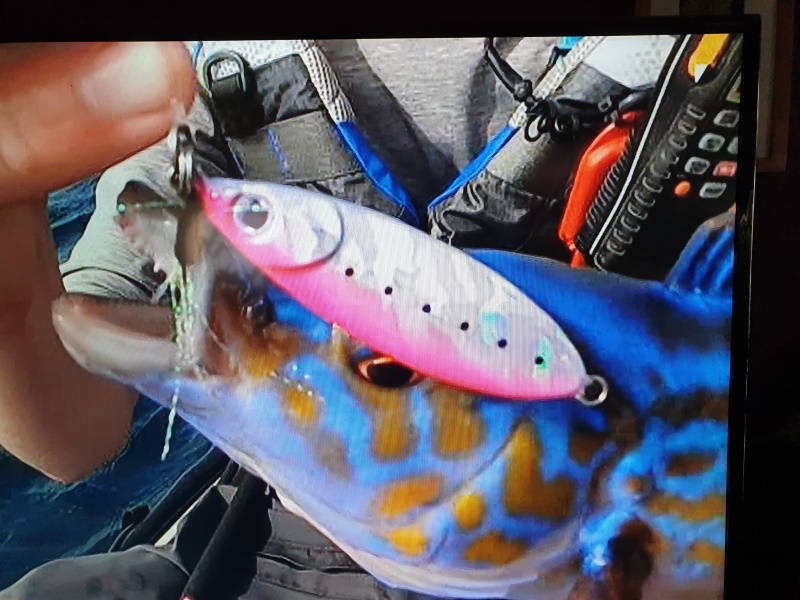 Devon Male Cuckoo Rass on a Kali Kunnan X-Way metal jig