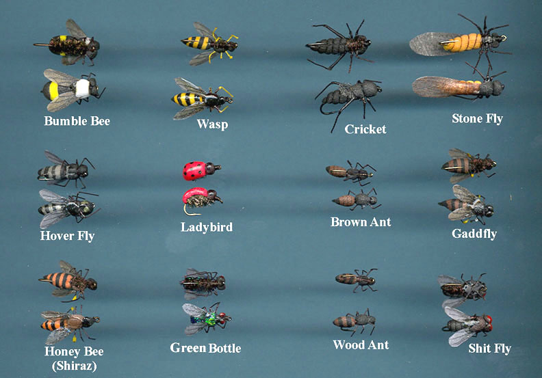 Real Fly Selection
