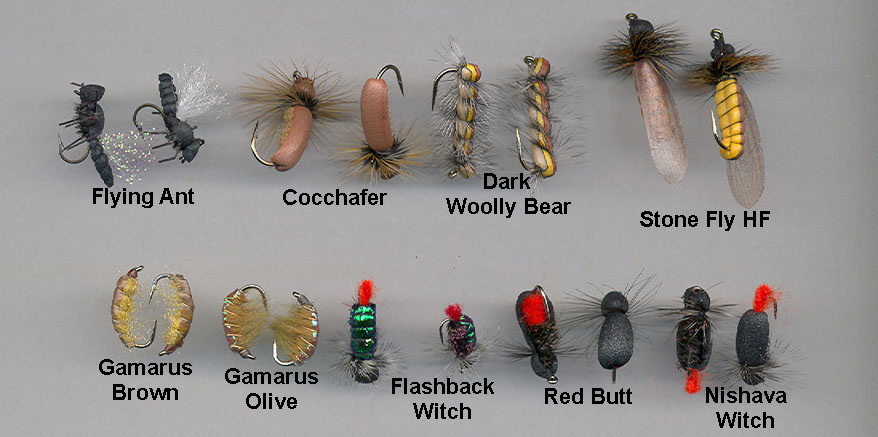 Real Flies (3)