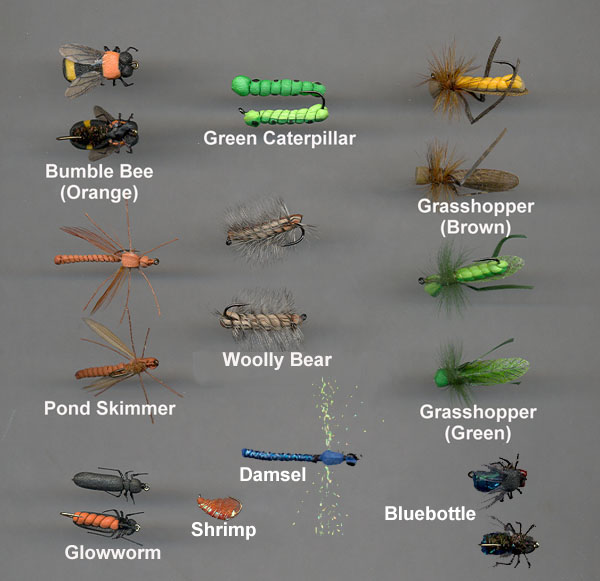 Real Flies (2)