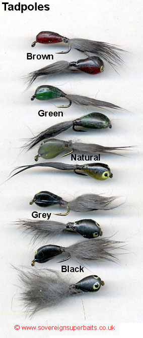 Tadpole colours