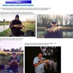 Chub gallery