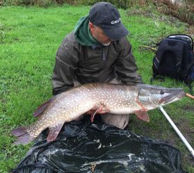 Pike caught on Bass Harrasser fishing lure