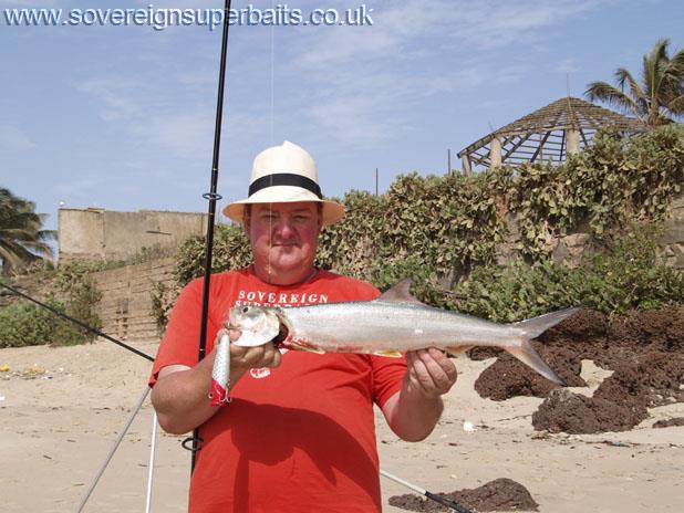 Nine bones on a Bass Buster Nine bones on a Bass Buster