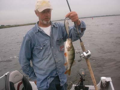 Perch on a Warrior