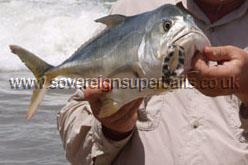 twinler soft bait