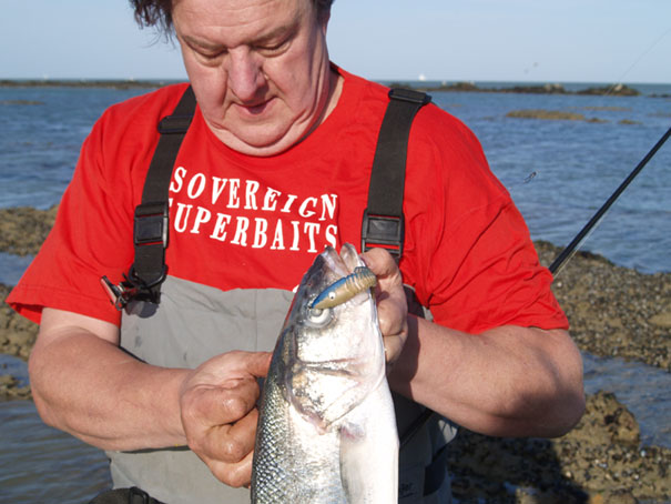 Bass on a Flexishad