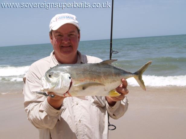 Jaclk Crevalle on a Sovereign Super shrimp